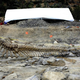 Image for article titled 16-foot dinosaur tail unearthed in Mexico is in perfect condition